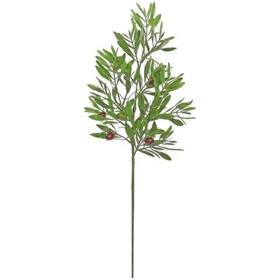 Olive Branch | Wayfair North America