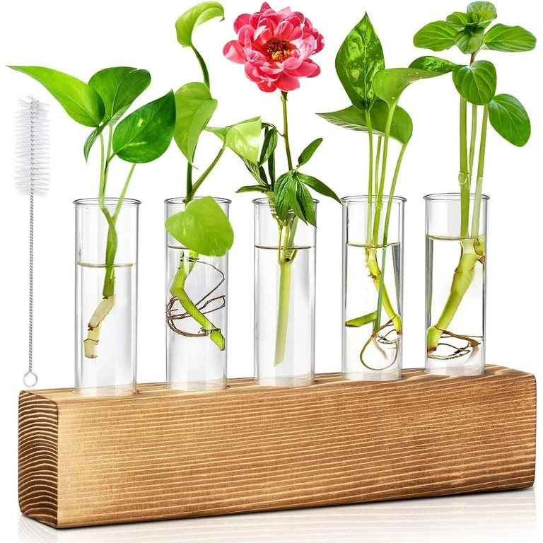 Desktop Plant Propagation Station, Dingrich 5 Glass Test Tube Plant Terrarium with Wooden Stand f... | Walmart (US)