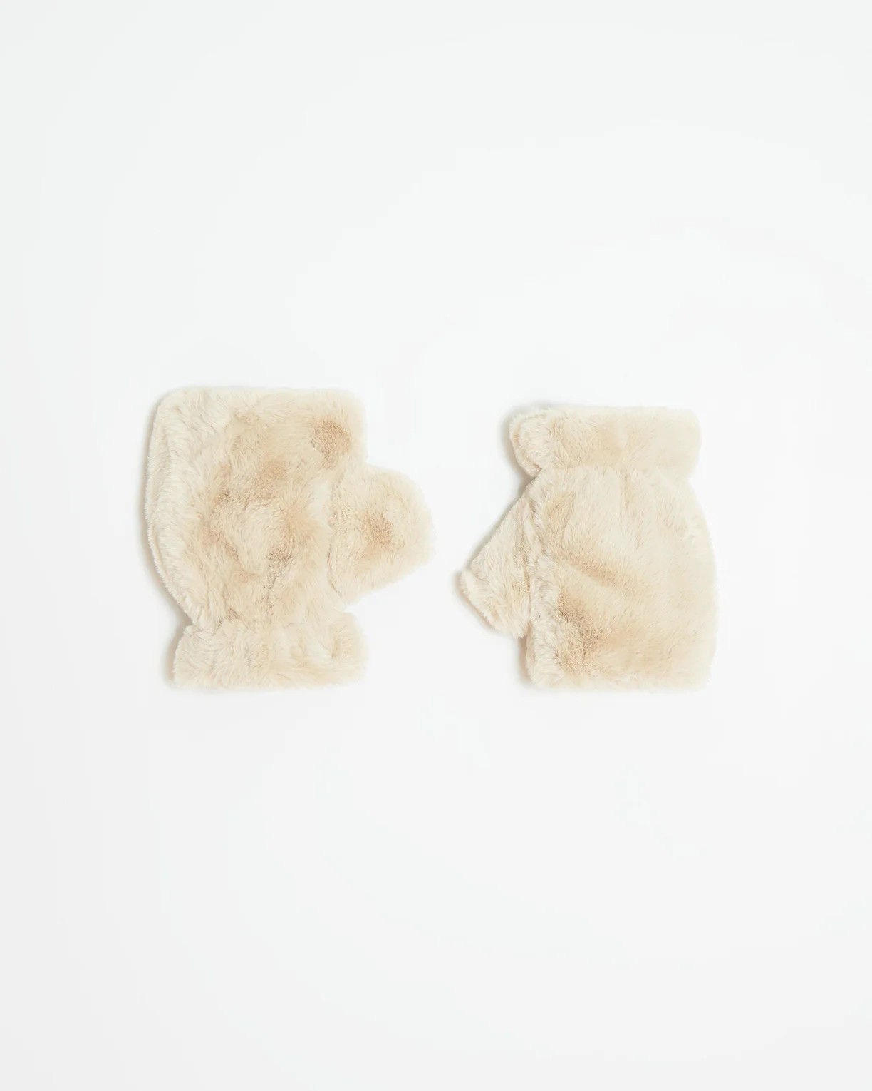 Ariel Latte | Apparis