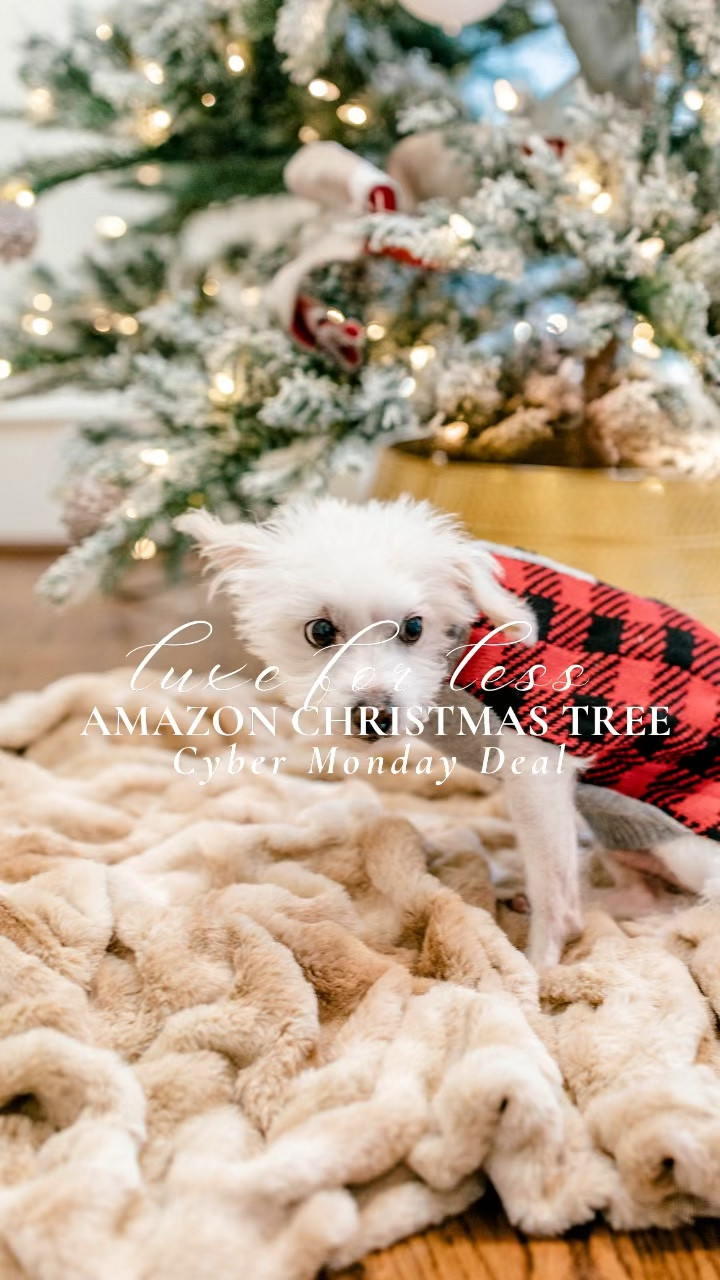 Cyber Monday Amazon Christmas tree on sale! 

#LTKCyberWeek #LTKHome #LTKHoliday