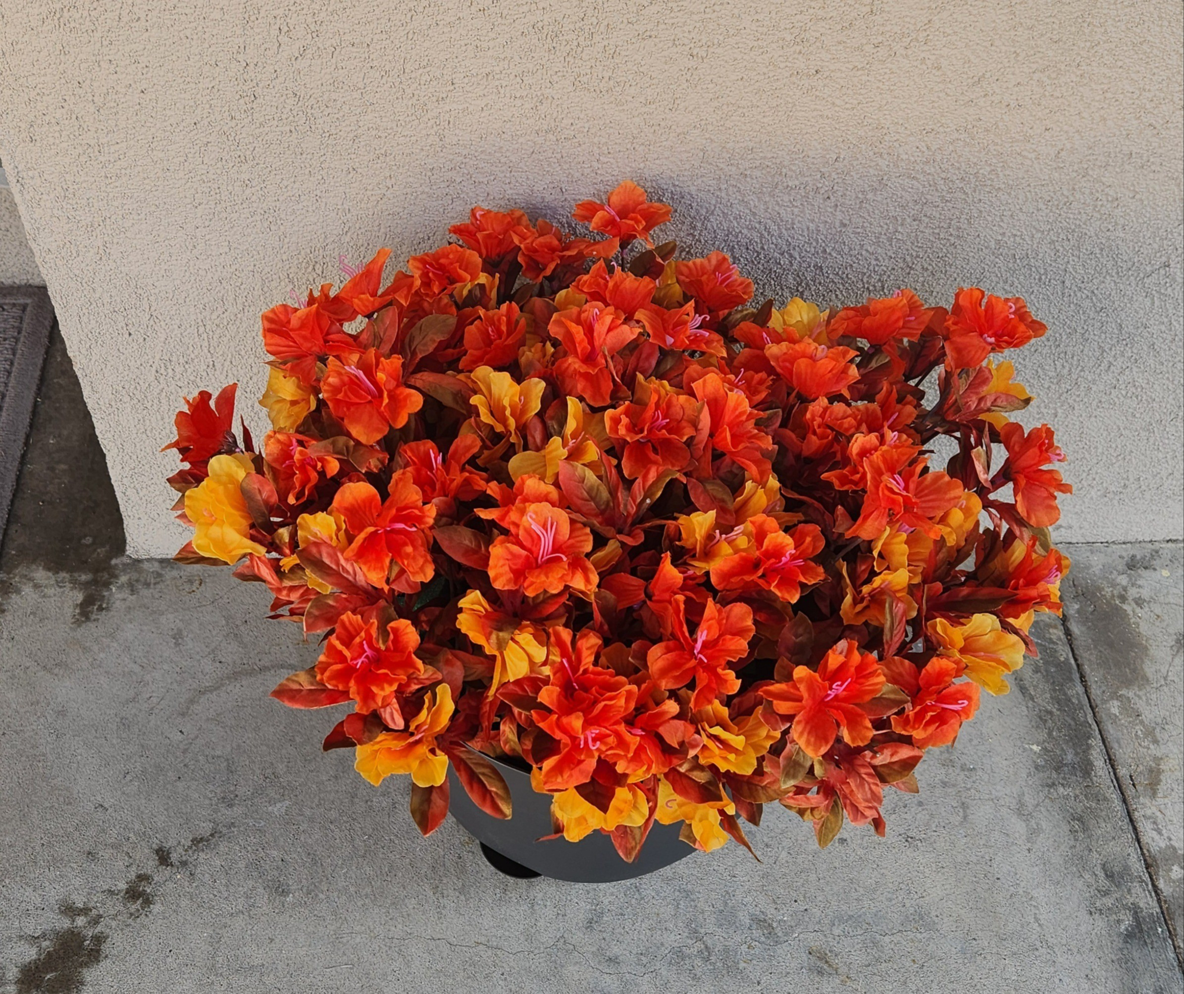 Fall fake flowers from amazon😍🍂

#LTKSeasonal #LTKHome #LTKFindsUnder50