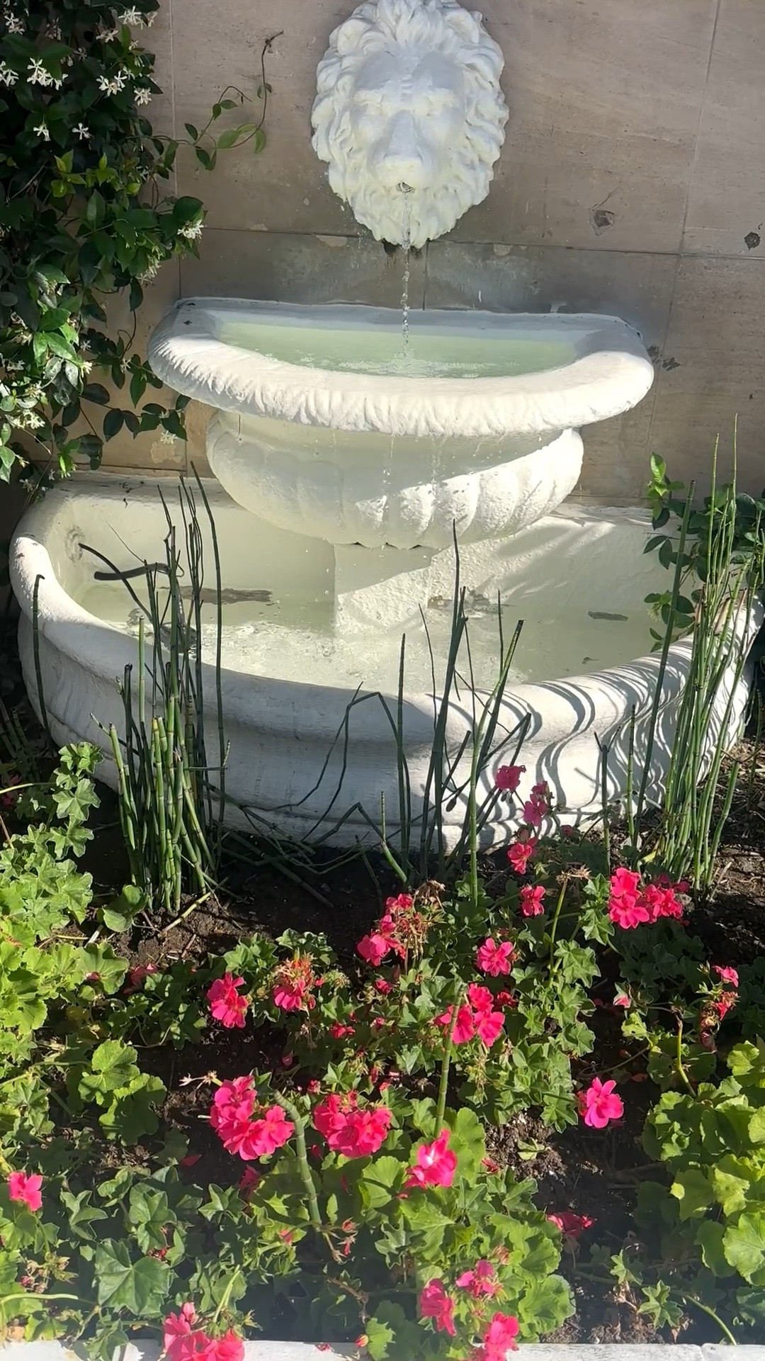 Good morning ☀️ stay calm, slow down, and let the sound of the fountain set the tone for the day.

#waterfountain #gardeninspiration #goodmorning #staycalm #gardenstyle #outdoorliving #classicgarden #flowergarden #serenemornings #fountainvibes #ltkhome

#LTKdayinmylife #LTKHome #LTKSaleAlert