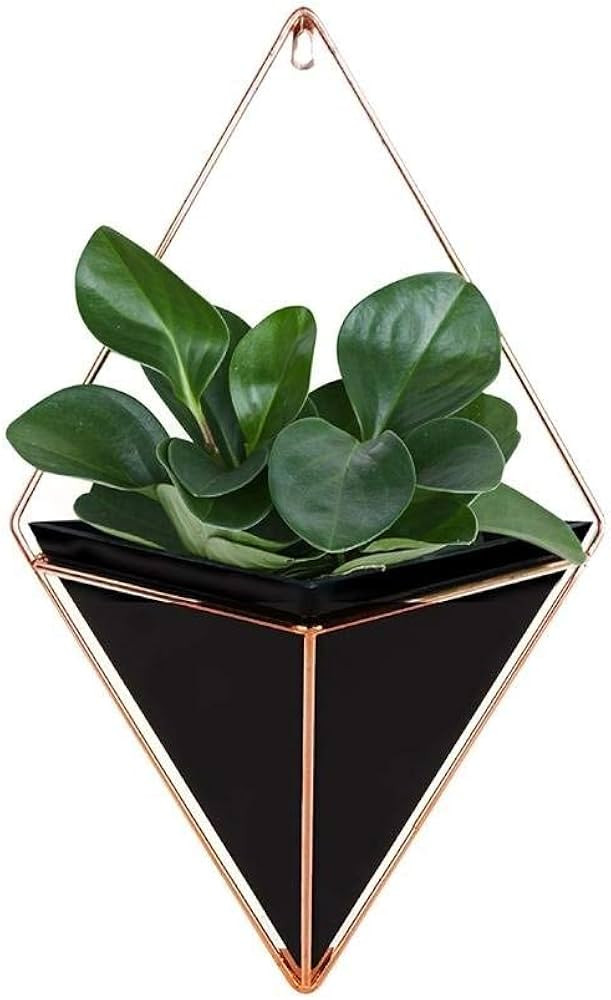 RANRANJJ Modern Hanging Planter Pots, Small Decorative Wall Planters for Cactus Decor & Hanging P... | Amazon (US)