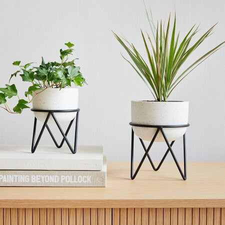 Iris Tabletop Planter | West Elm (UK)