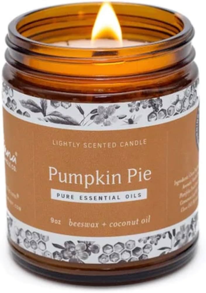 Fontana Candle Company - Pumpkin Pie | Lightly Scented Candle 9 oz | Made from Beeswax and Coconu... | Amazon (US)