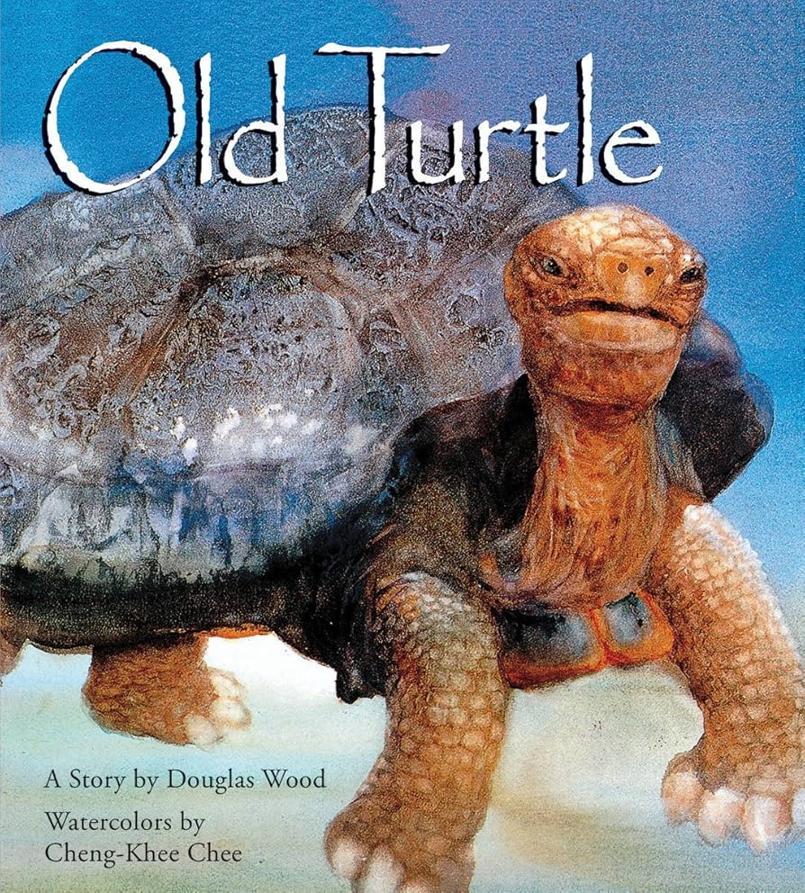 Old Turtle (Lessons of Old Turtle) | Amazon (US)