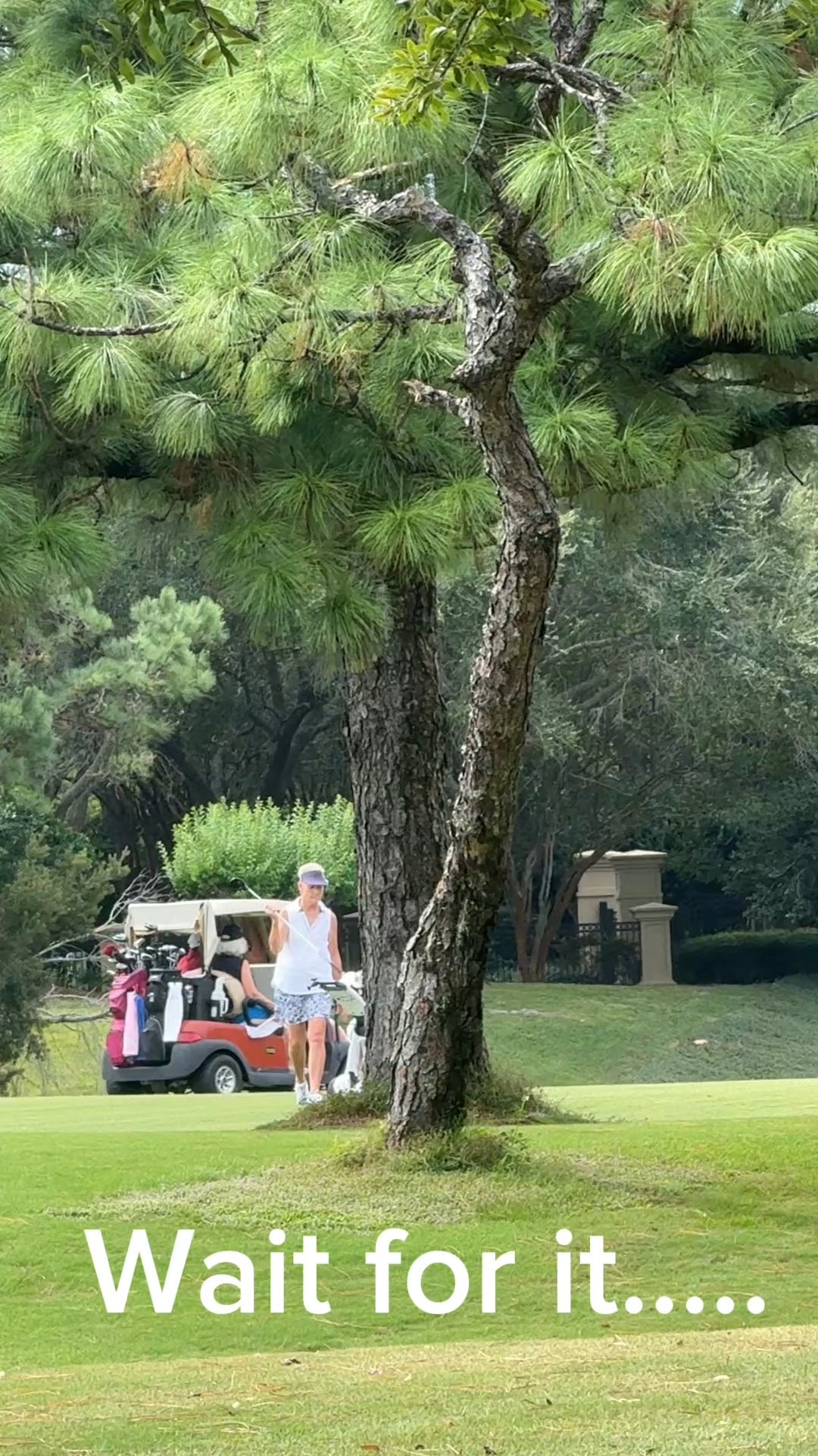 “Where’s your next golf destination? ⛳️ Effortless exercise with this self-propelled cart. Tap to shop!”

#golfcart #golflifestyle #golffashion #golftravel #ladyvtravels #golfinspo

#LTKOver40 #LTKTravel #LTKActive