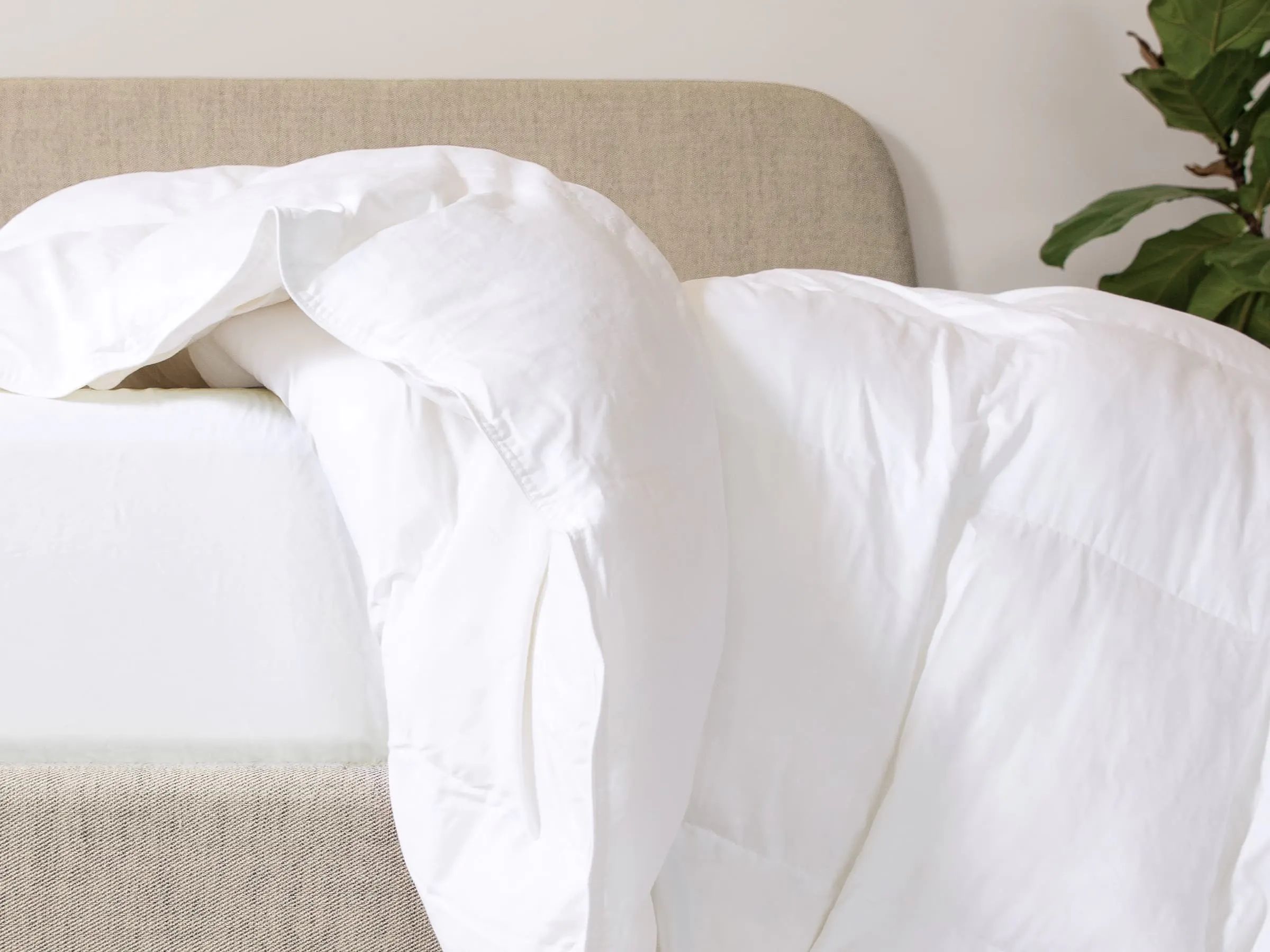 Duvet Comforter | Leesa Sleep