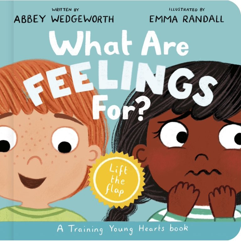 Training Young Hearts What Are Feelings For? Board Book: A Lift-The-Flap Board Book, (Board Book) | Walmart (US)