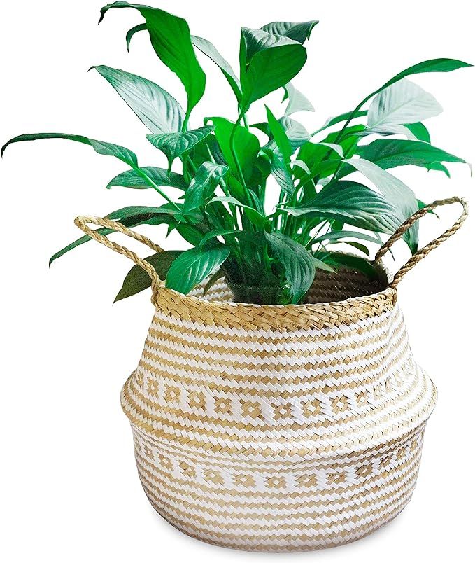 La Maia Small Natural & Plus Woven Seagrass Belly Plant Basket with Handles Woven Planter Basket ... | Amazon (US)