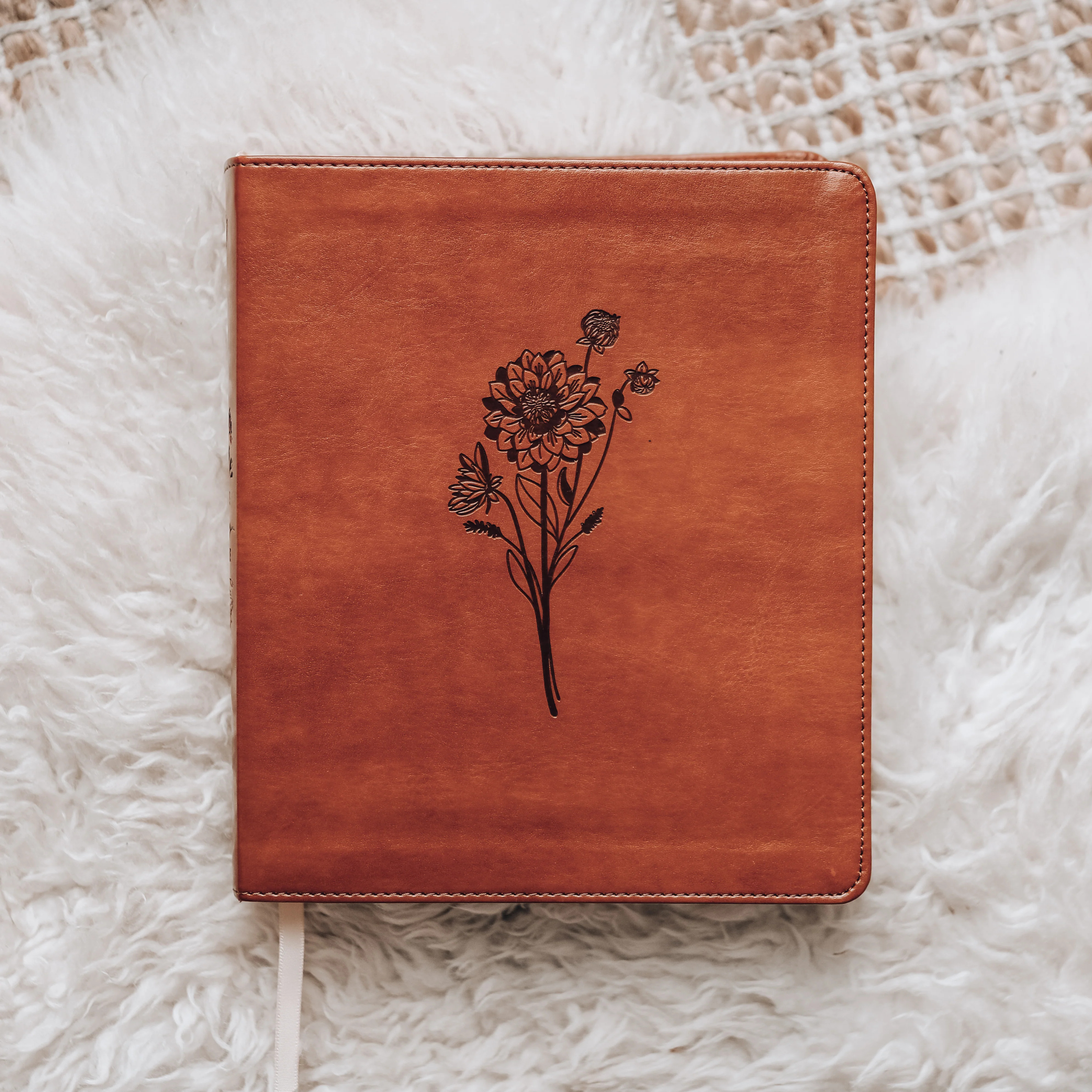 ESV Journaling Bible - Sierra | The Daily Grace Co.
