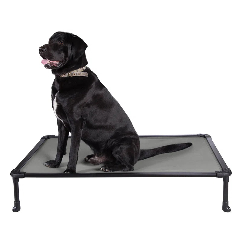 Tucker Murphy Pet Chew Proof Elevated Dog Bed - Cooling Raised Pet Cot - Aluminum Frame And Dur... | Wayfair North America