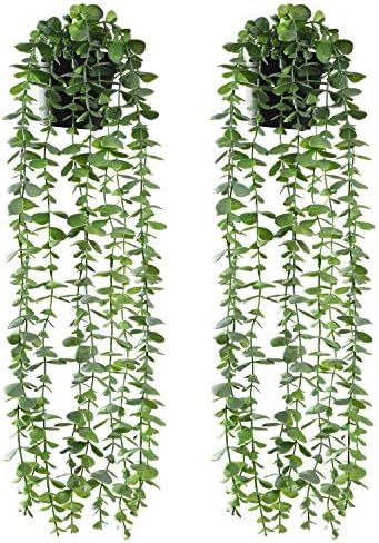 RED SECRET R Artificial Hanging Eucalyptus Plants Potted 2 Pack Fake Eucalyptus Greenery Vines in... | Amazon (US)