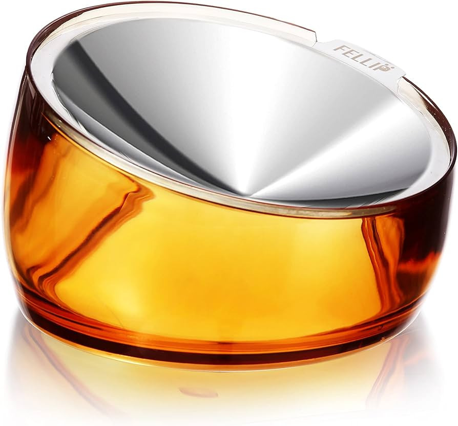 Felli Pet Oblik Anti Whisker Fatigue & Regurgitation Raised Cat Food Water Bowl, Tilted Stainless... | Amazon (US)