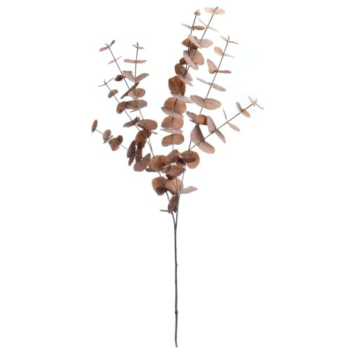 Ashland 38" Brown Eucalyptus Stem | Amazon (US)