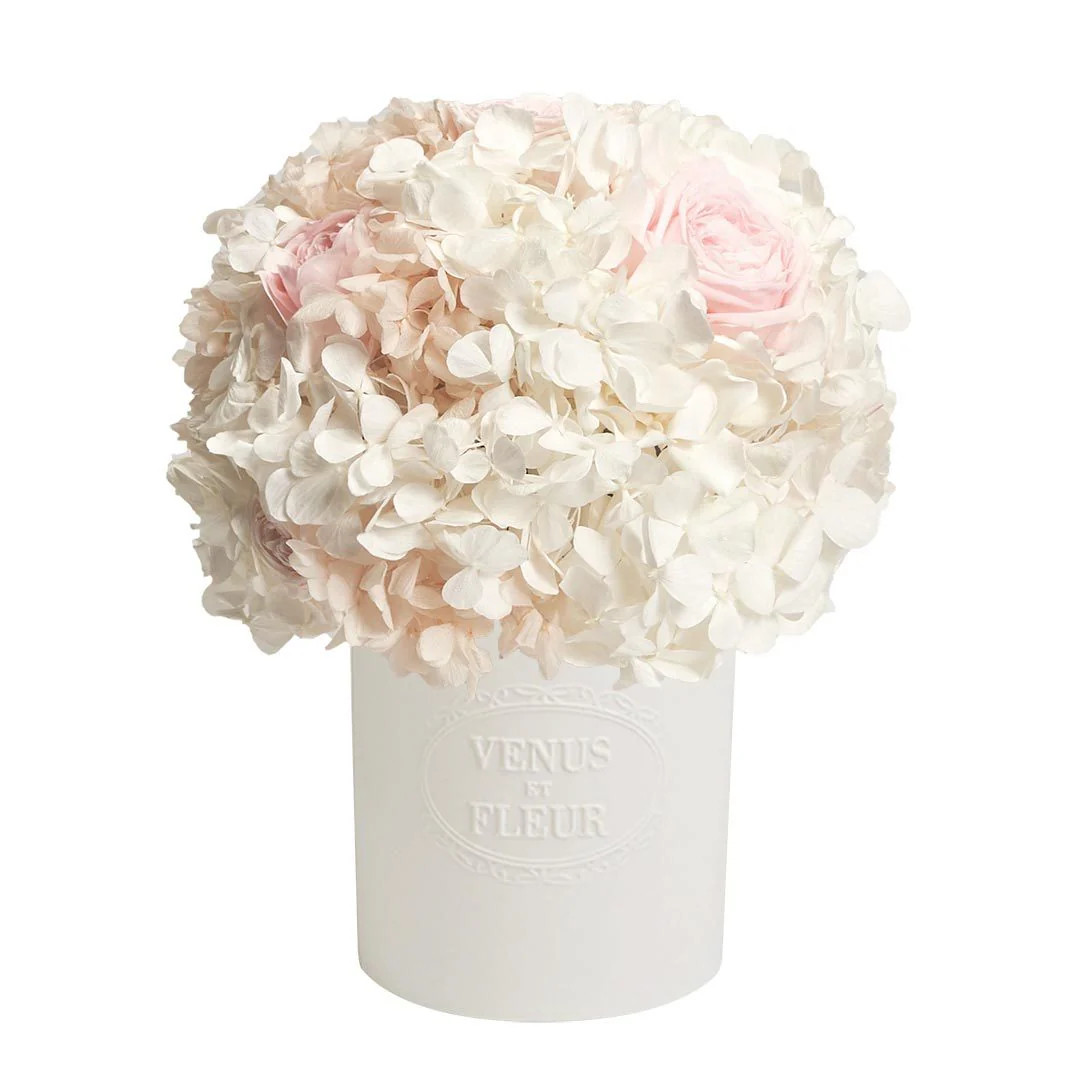 Fleura Porcelain Vase | Venus ET Fleur