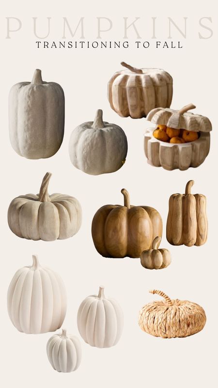 transitioning to fall pumpkins
fall / Halloween / season / pumpkin spice / pumpkin decor / home decor / Halloween decor 

#LTKFind #LTKSeasonal #LTKhome