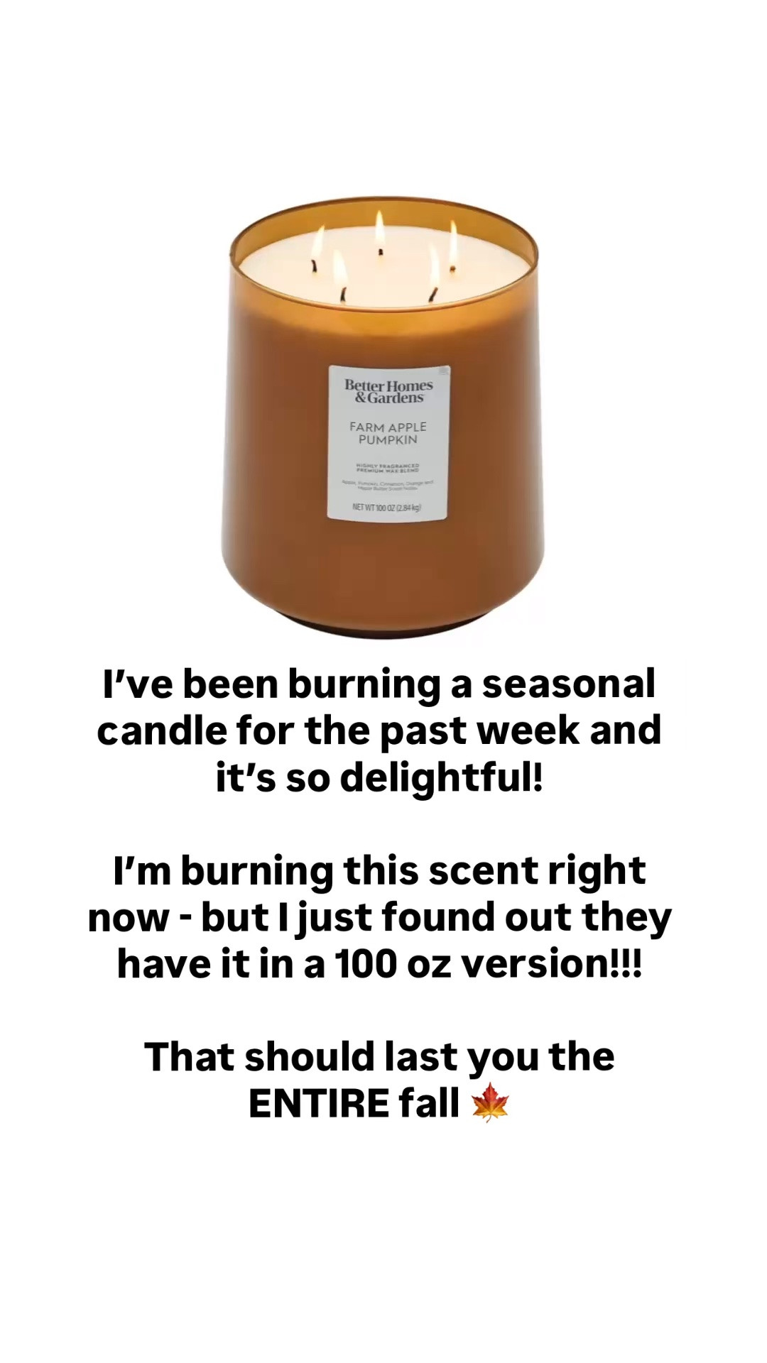 I’ve been loving this fall candle scent - but if you want it to last ALL fall, you could just buy the 100 oz one 😂

#LTKSeasonal #LTKHome