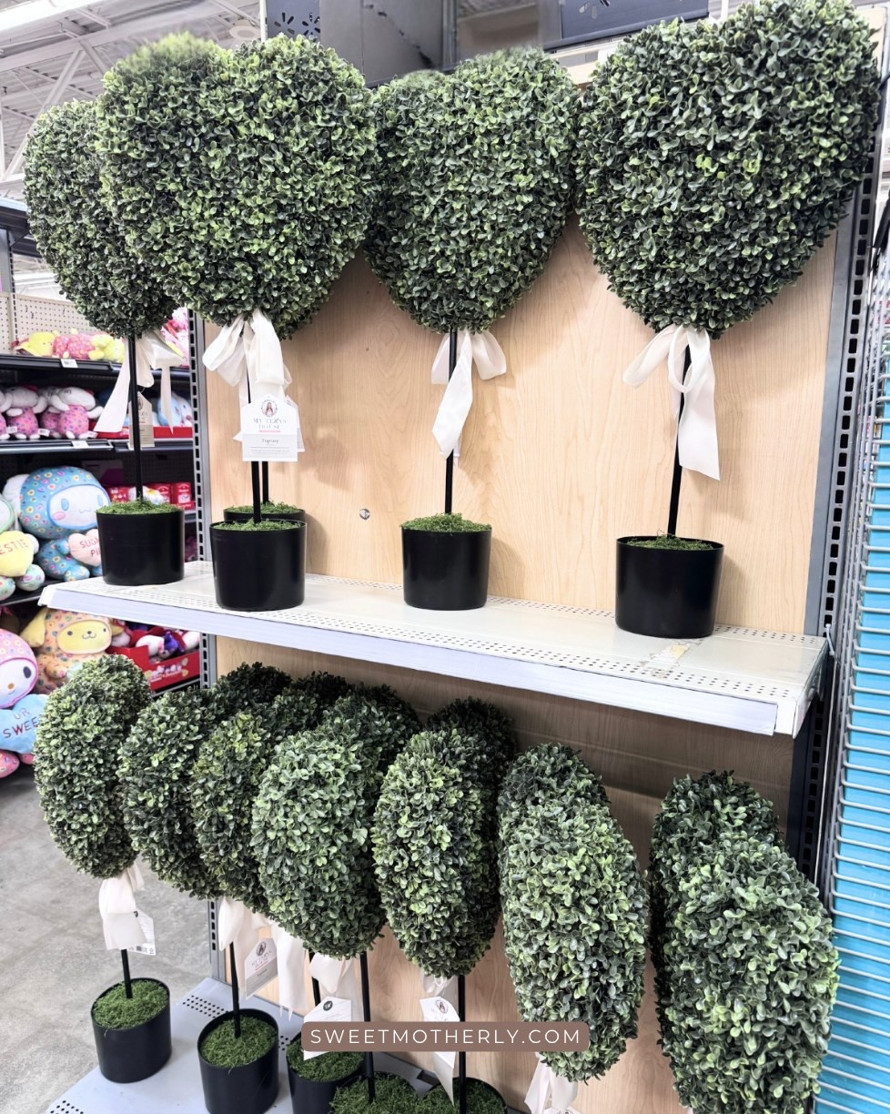 Are these heart-shaped topiaries from My Texas House not the cutest?!

decorative throw pillows
ceramic vases and bowls
stylish coffee table decor
neutral textured accents
accent trays and catchalls
modern tabletop decor
layered shelf styling pieces
statement home accessories

#LTKHome #LTKSeasonal #LTKSaleAlert