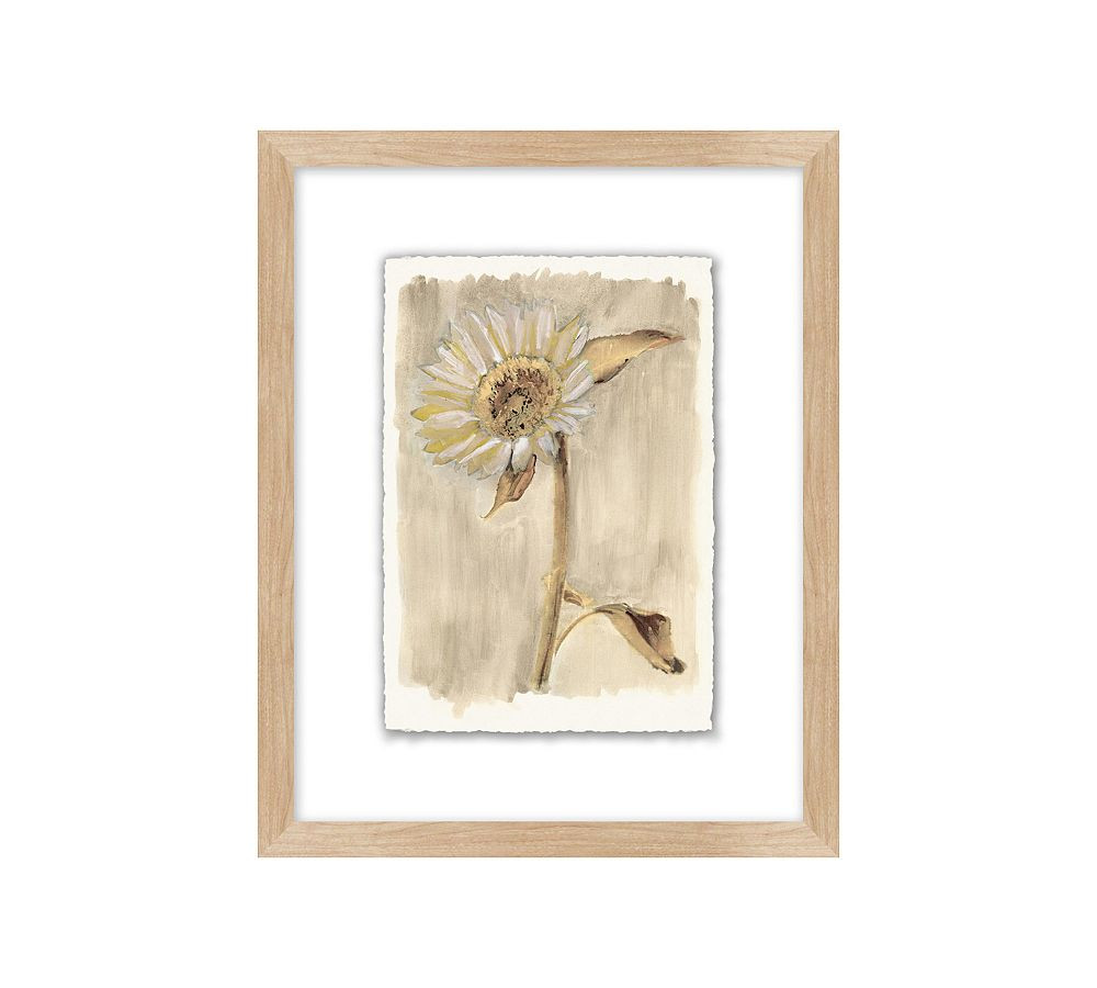 Neutral Daisy Print Wall Art | Pottery Barn (US)