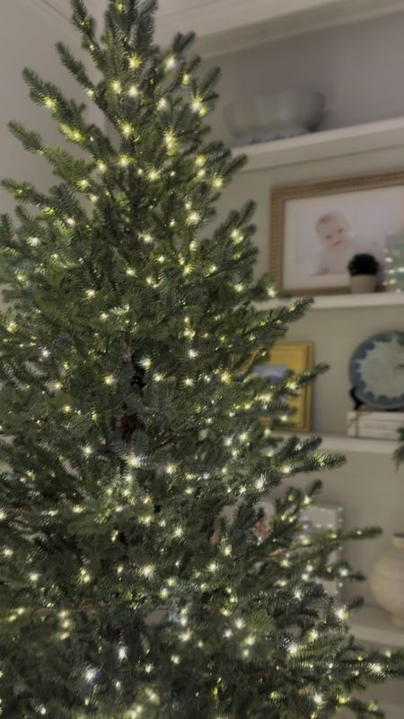 Our Christmas tree is here and it’s even better than I was anticipating!! Cannot get over how real it looks 🤯 so easy to install, too! 

#LTKVideo #LTKHoliday #LTKSeasonal