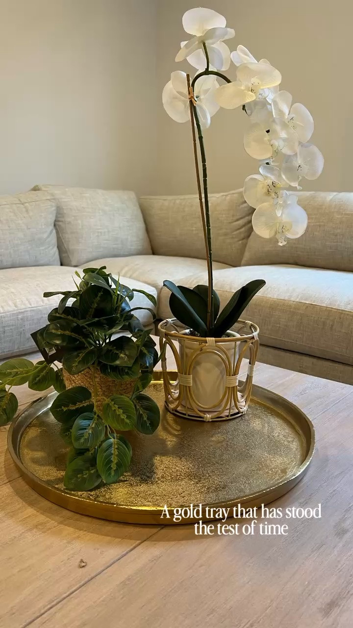 The perfect fall decor because I gold tray fits in almost every household.  

#targethome #targetfinds

#LTKHome #LTKSeasonal