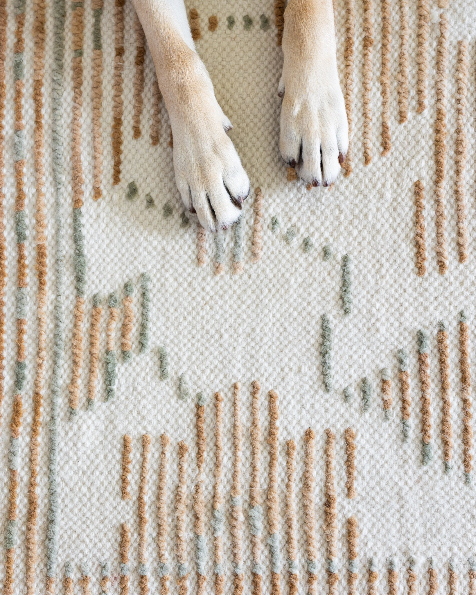 Rug details ✨ can you believe this wool rug is washable?! Perfect for pet homes!

#LTKHome