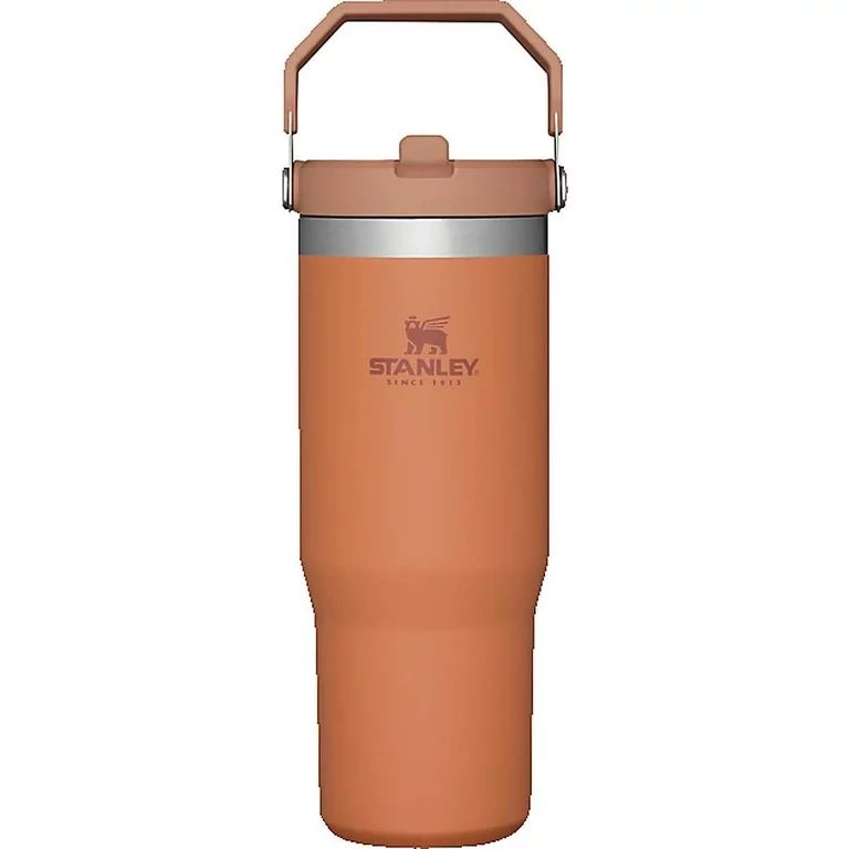 Stanley Classic 30oz Iceflow Flip Straw Tumbler | Walmart (US)