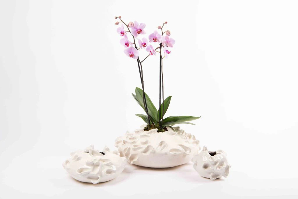 Alicia Base in White by Agave | Support HerStory