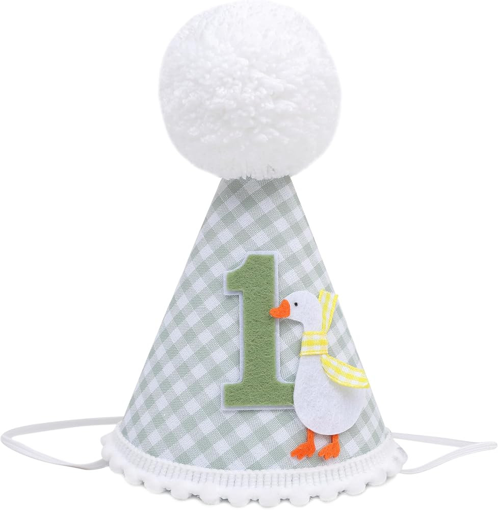 One Funny Goose 1st Birthday Hat for Boys - Green Gingham Party Hat, Goose First Birthday Decorat... | Amazon (US)
