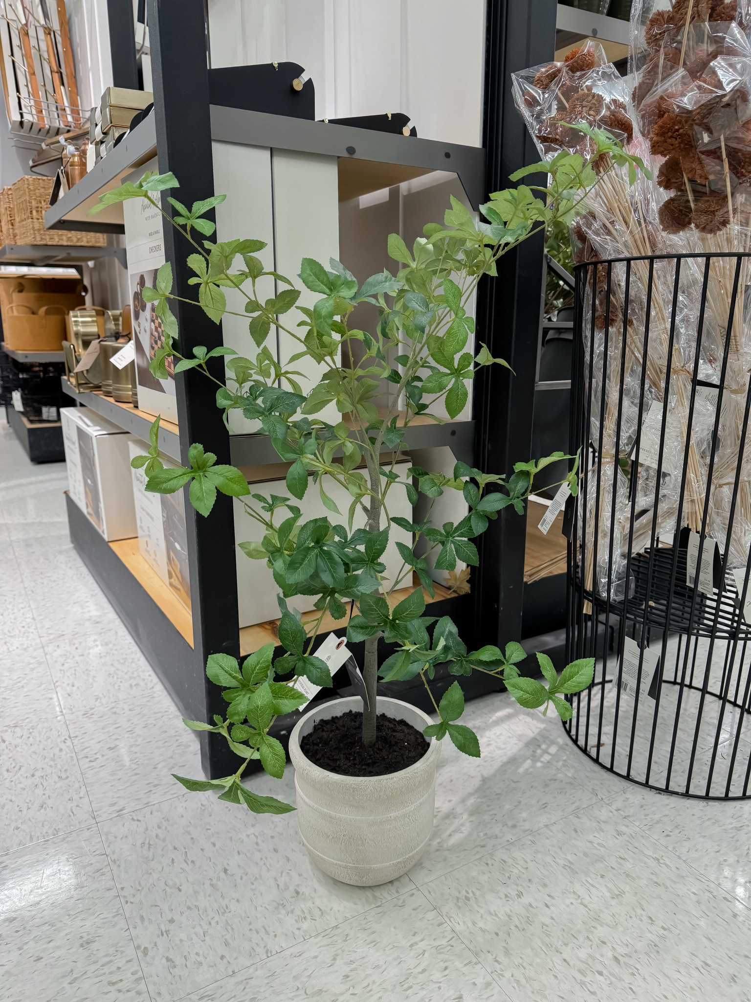 33" Faux Gypsophila Leaf Tree - Hearth & Hand™ with Magnolia: Indoor Artificial Plant, No Assembly, Potted

#LTKSaleAlert #LTKHome #LTKFallSale