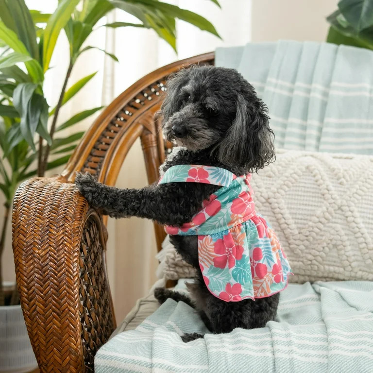 Vibrant Life, Dog and Cat Clothes, Tropical Flowers Pet Dress, Multi-Color, XS | Walmart (US)