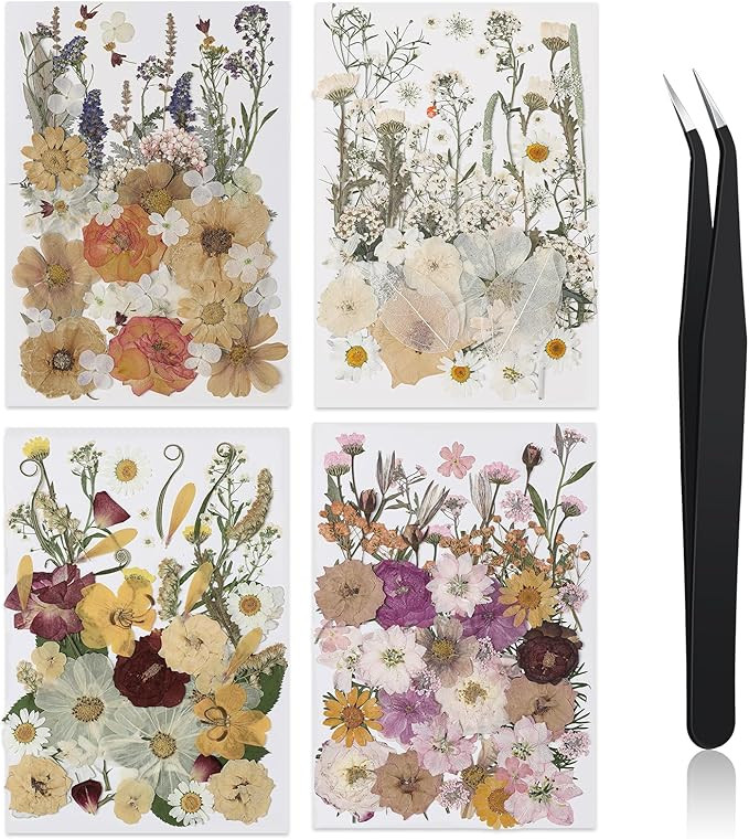 Nuanchu 200 Pcs Pressed Flowers Bulk Dried Flower for Craft Resin Mold Bookmark Scrapbooking Nail... | Amazon (US)