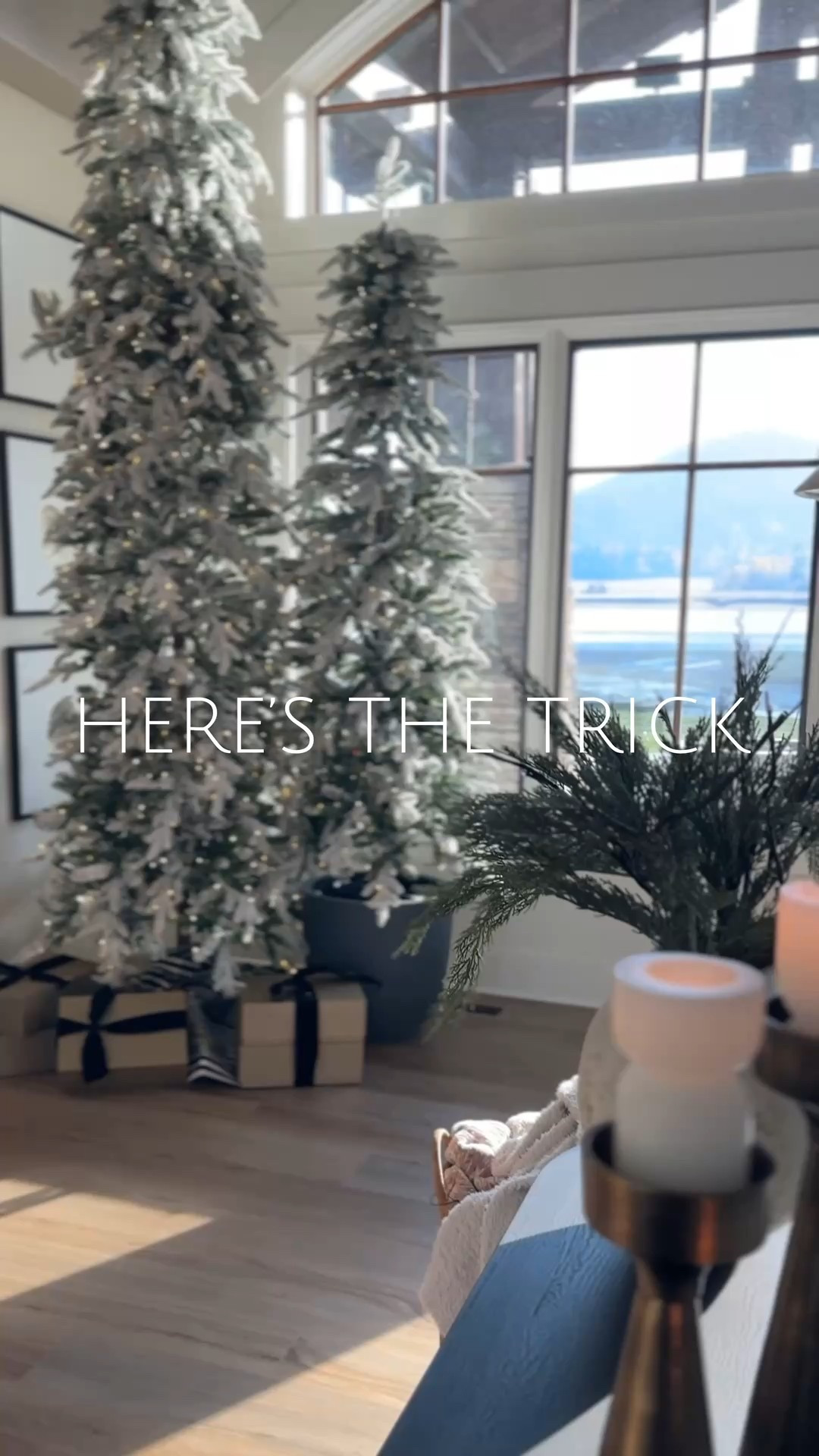 ELEVATE YOUR CHRISTMAS TREE FOR UNDER $20 ✦
This simple DIY tree stand instantly makes your holiday decor look more designer — sturdy, clean, and so easy to recreate.

Here’s everything you need to build it:
• 5-gallon bucket*
• 15” PVC pipe* (1 1/2” fits most tree bases)
• Zots or hot glue
• Bag of concrete*
*Available at your local home-improvement store.

DIY STEPS:
1️⃣ Cut the PVC pipe to your desired tree height.
2️⃣ Attach it to the bottom of the bucket using Zots or hot glue.
3️⃣ Fill the bucket with concrete to secure it.
4️⃣ Pour concrete inside the PVC pipe to the height you need.
5️⃣ Wipe away any splatter.
6️⃣ Let it cure overnight.

Then place it inside a pretty planter for that elevated, designer look — without the designer price tag.

TIP: Make sure your planter fits a 5-gallon bucket. Smaller planters? A 2–3 gallon version works perfectly.

Follow me on LTK for more tips and tricks ✦

#LTKFindsUnder50 #LTKHoliday #LTKSeasonal