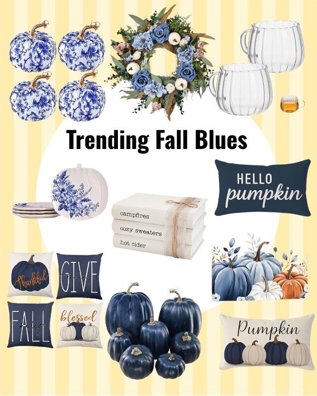 Trending Fall Blues 🍂✨ Cozy farmhouse meets chic style with blue + white pumpkins, fall pillows, and the prettiest seasonal decor. Affordable Amazon fall must haves to refresh your home! #amazonfinds #fall #falldecor

#LTKHome #LTKSeasonal #LTKFindsUnder50