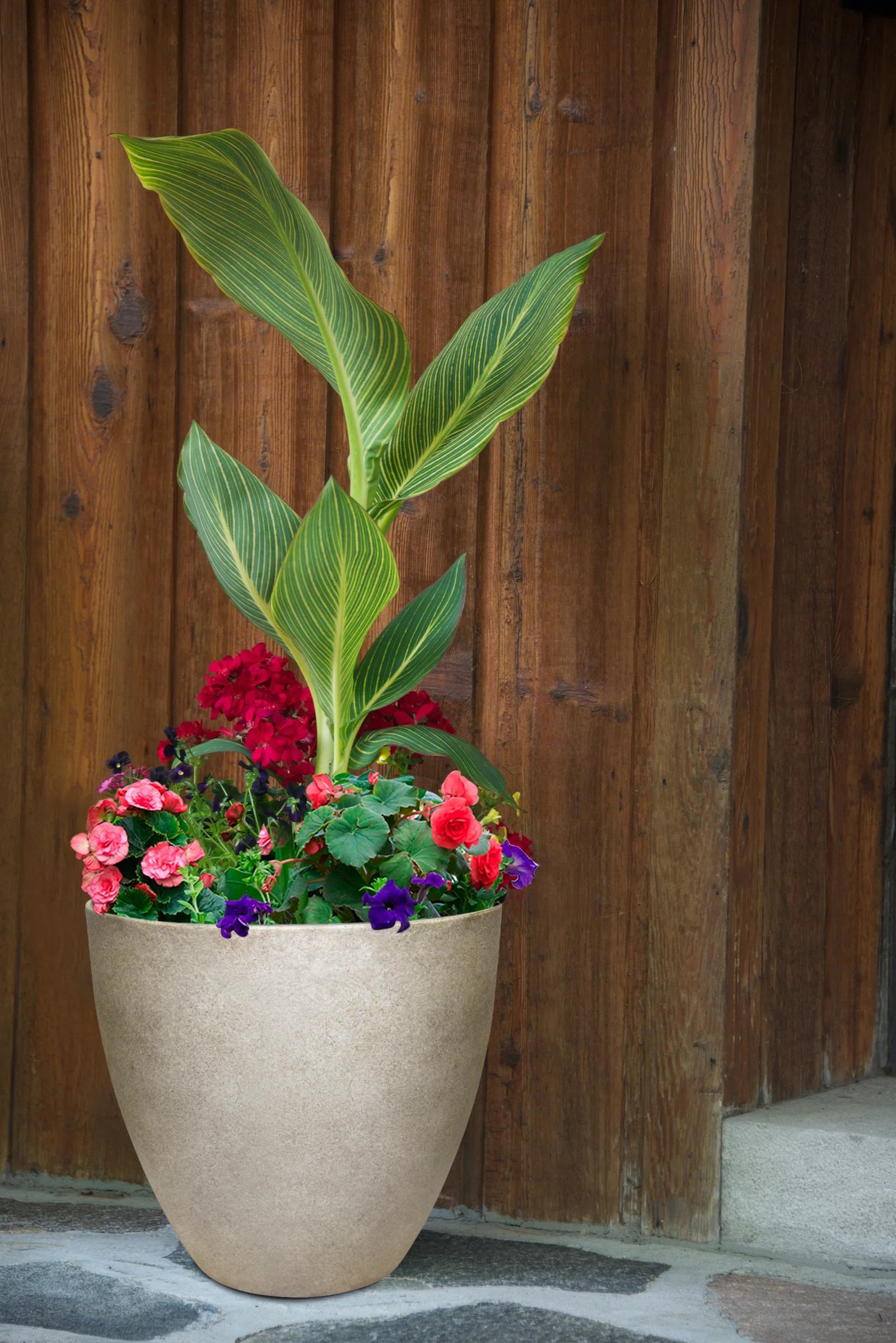 Southern Patio® Round Egg Resin Planter & Reviews | Wayfair | Wayfair North America