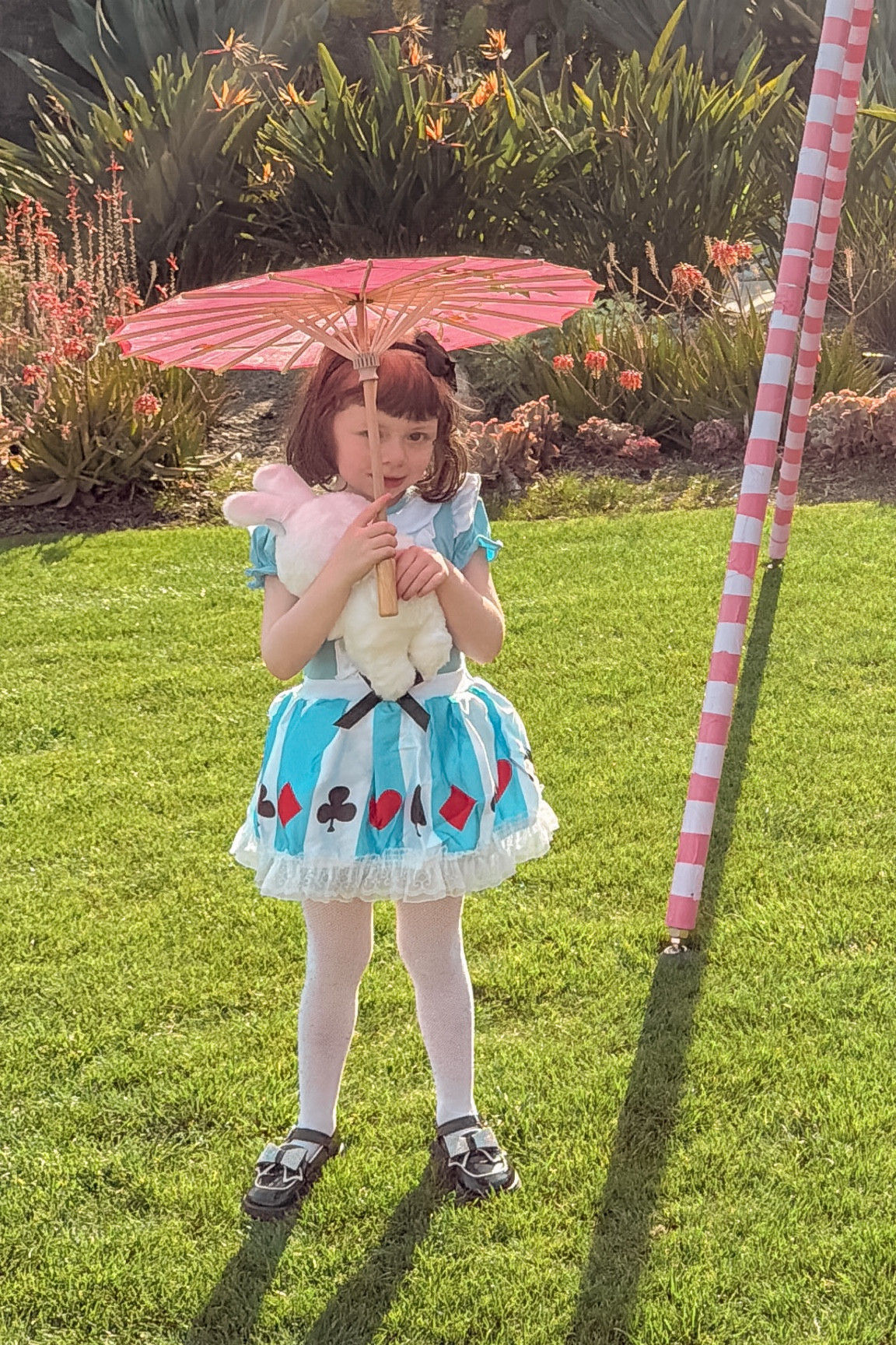 Ryders  Alice  in Wonderland dress #kidfashion 

#LTKU #LTKKids #LTKFestival