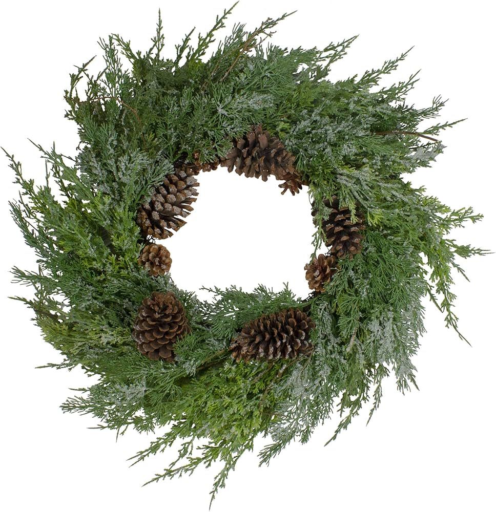 Northlight Frosted Cedar and Pine Cone Artificial Christmas Wreath, 26-Inch, Unlit | Amazon (US)