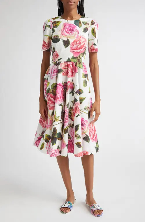 Dolce&Gabbana Rose Print Cotton Fit & Flare Dress in Rose Rosa Floral.bianco at Nordstrom, Size 2 Us | Nordstrom