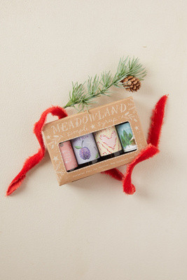 Holiday Simple Syrups, Set of 4 | Terrain