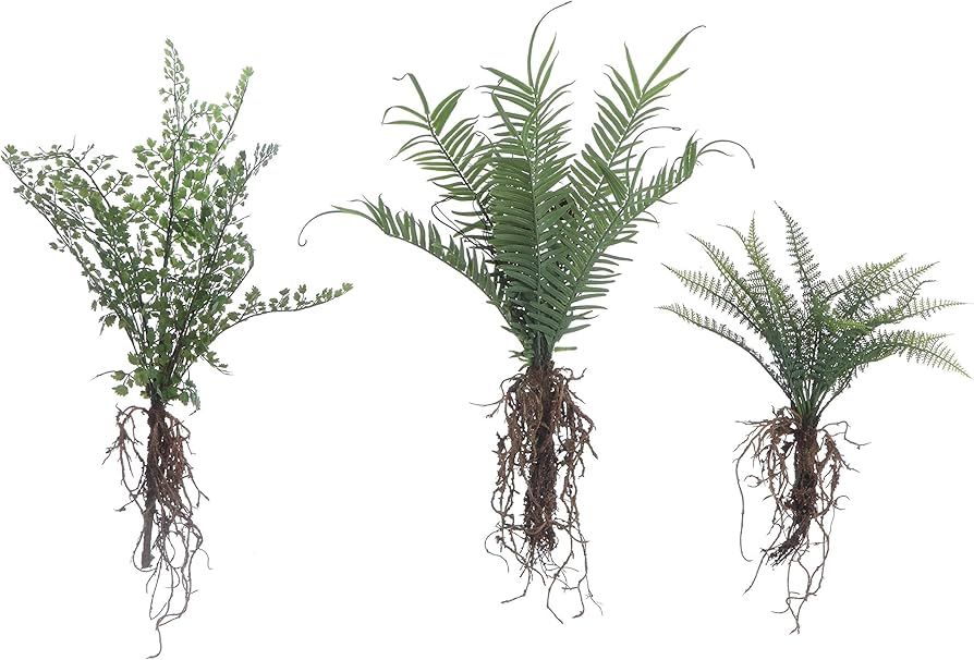 Creative Co-Op Ferns with Exposed Roots (3 Styles) Faux Botanical, Green | Amazon (US)