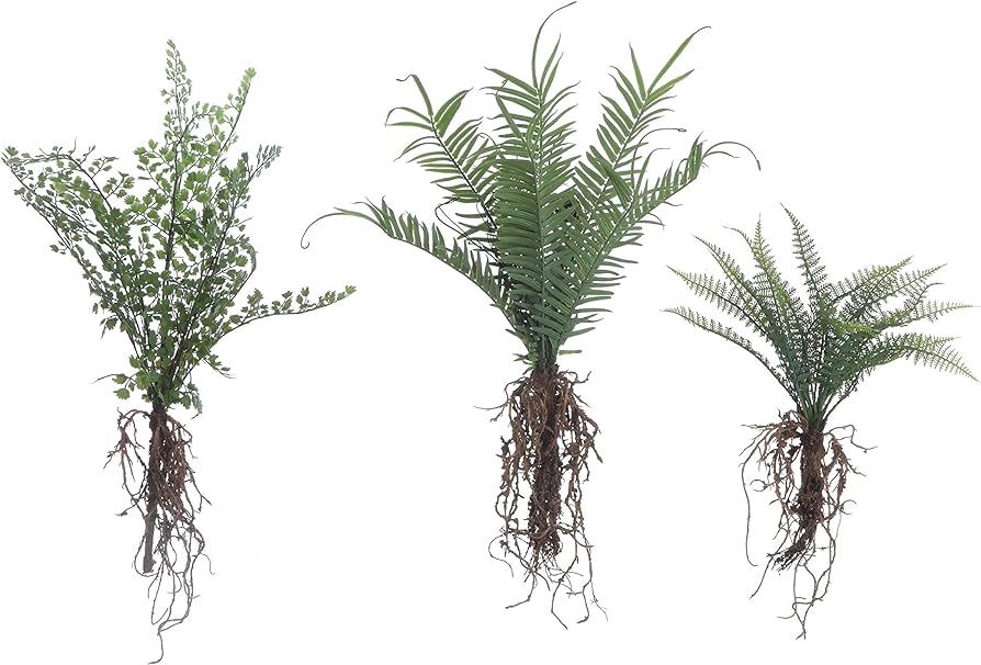 Creative Co-Op Ferns with Exposed Roots (3 Styles) Faux Botanical, Green | Amazon (US)