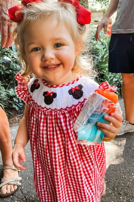 Toddler Disney Outfits❤️✨
Smock Mouse Ears 
Smocked Disney Dresses

#LTKkids