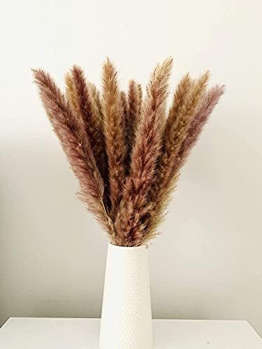 30 Pcs Pampas Grass ,17.7 inch/45cm Natural Dried Pampas Grass Branches Decor for Home Kitchen Ga... | Amazon (US)