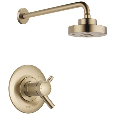 Odin® TempAssure® Thermostatic Shower Only | Perigold