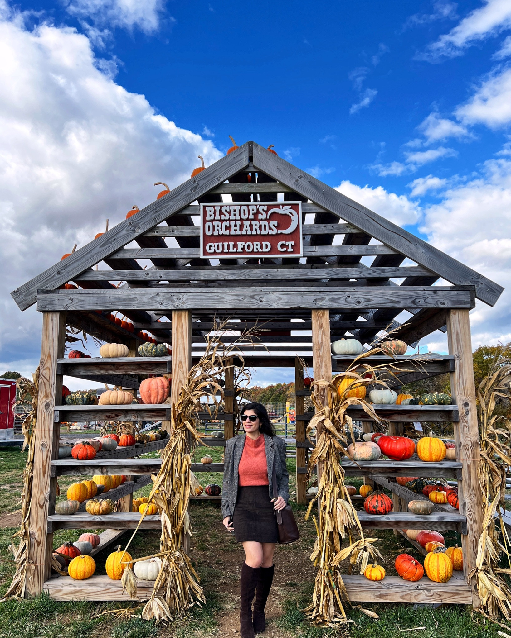 A gourd-eous fall display 
