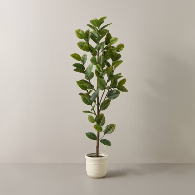 72" Faux Potted Rubber Tree - Hearth & Hand™ with Magnolia | Target