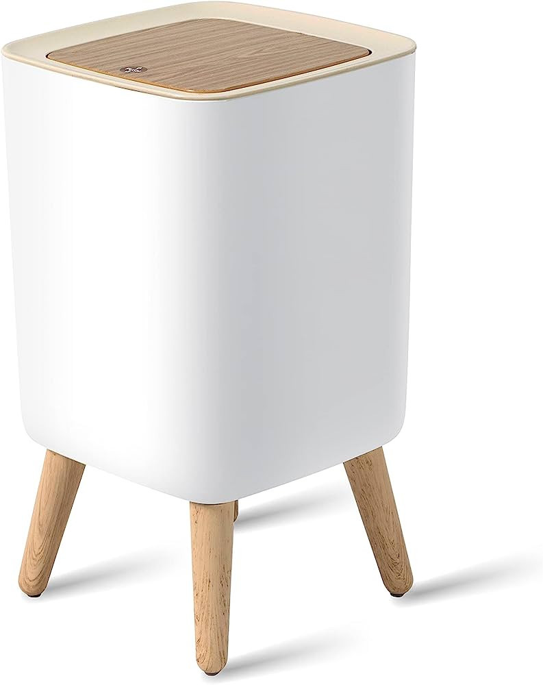 WDPUCHU Nordic Style Trash Can,Push Top Trash Can with Lid, Small Waste Basket, Plastic Trash bin... | Amazon (US)