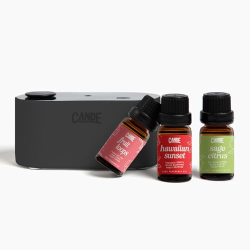 CE CRAFT Waterless Travel Diffuser Gift Set - Rechargeable Diffuser for Aromatherapy - Includes 3 Fragrance Oils - Fragrance Dispenser for Office and Home - Fruity Scents | Amazon (US)