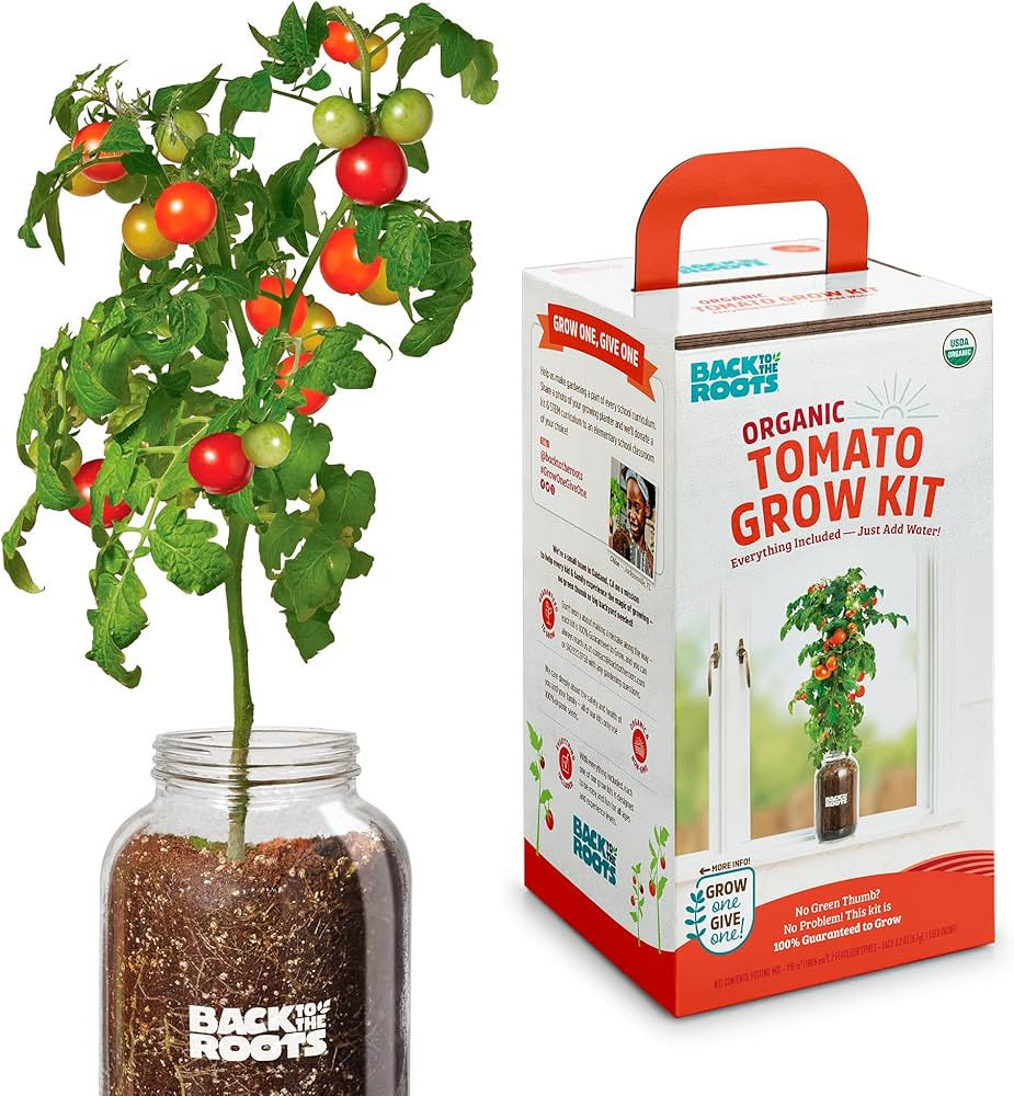 Back to the Roots Cherry Tomato Organic Windowsill Planter Kit - Grows Year Round, Includes Every... | Amazon (US)
